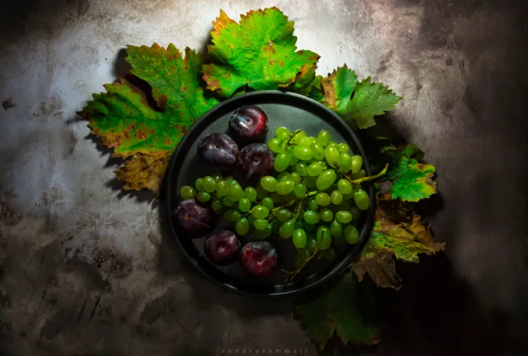 Still-Life Photography